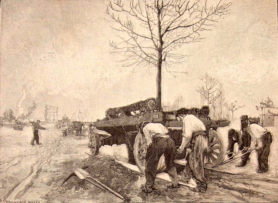 Transplantación de un árbol.