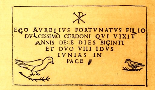 "Ego Aurelius Fortunatus..."
