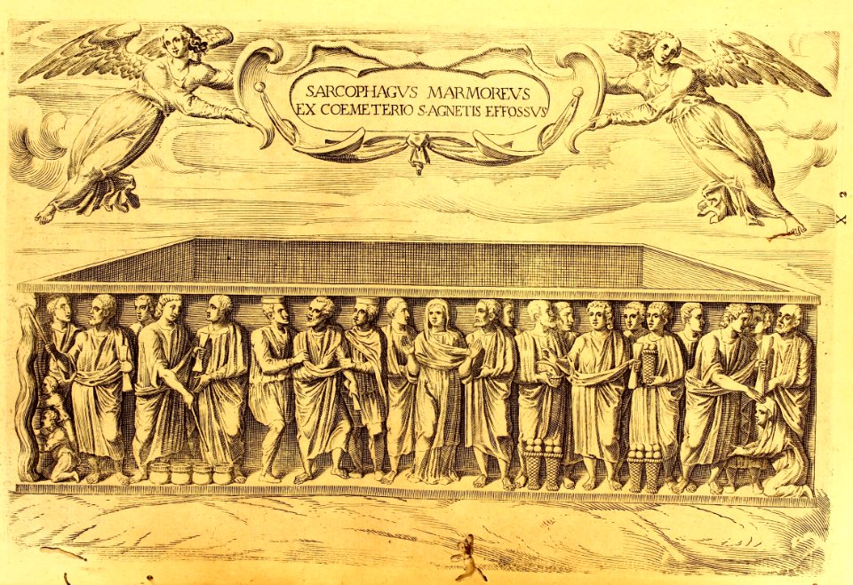 "Sarcophagus mamoreus..."