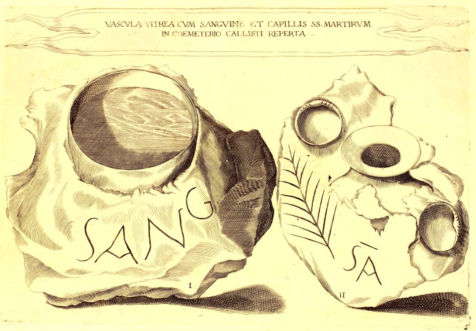 "Vascula vitrea cum sanguine..."
