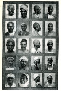 "Tipi di delinquenti africani".