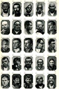 "Delinquenti Pazzi".