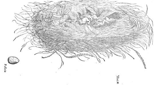 ARes04103_0562
