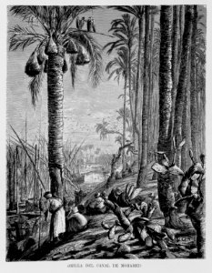 "Orilla del Canal de Mohamed"
