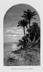"Orillas del brazo de Roseta"
