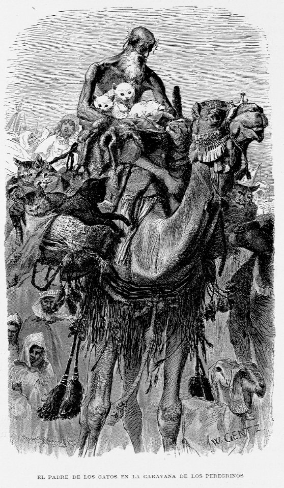 "El padre de los gatos en la caravana de los peregrinos"