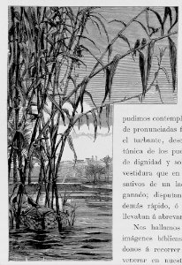"Adorno"