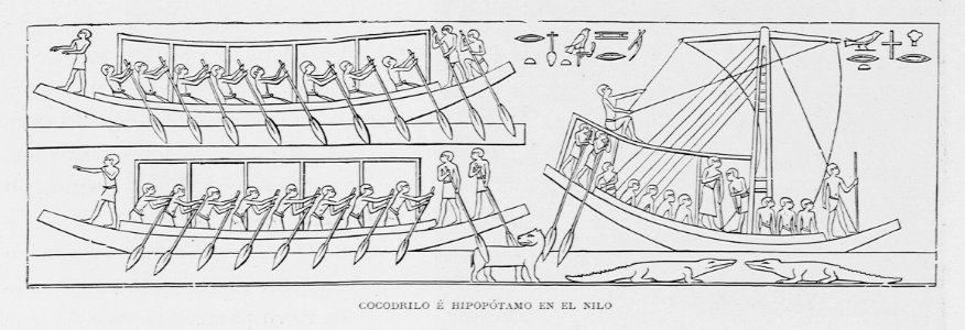 "Cocodrilo e hipopótamo en el Nilo"