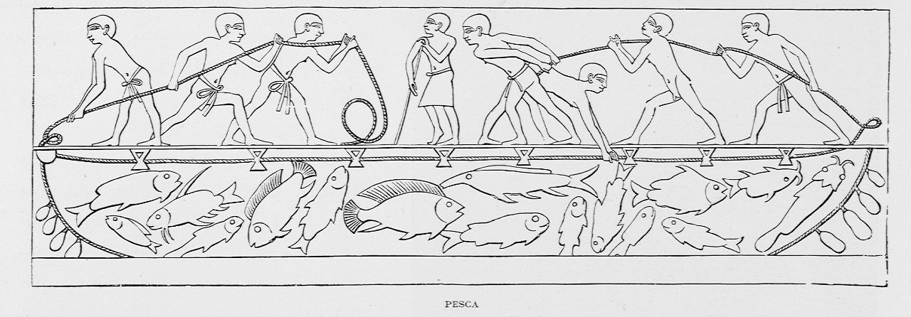 "Pesca"
