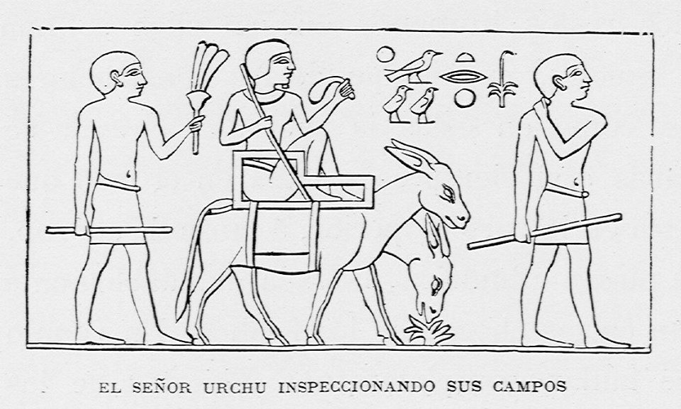 "El señor Urchu inspeccionando sus campos"