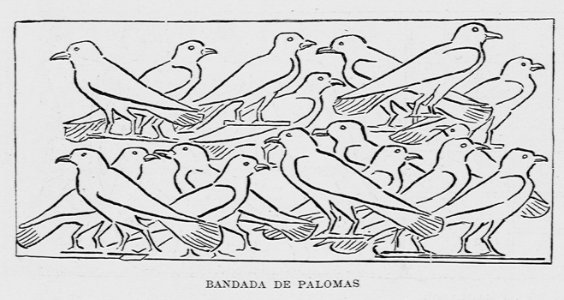 "Bandada de palomas"