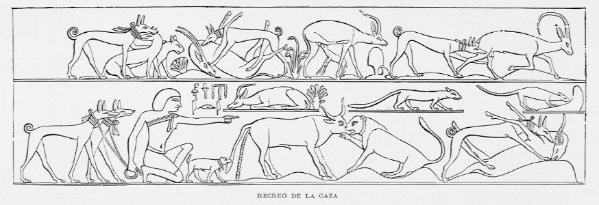 "Recreo de la caza"