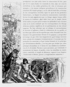 "Adorno"