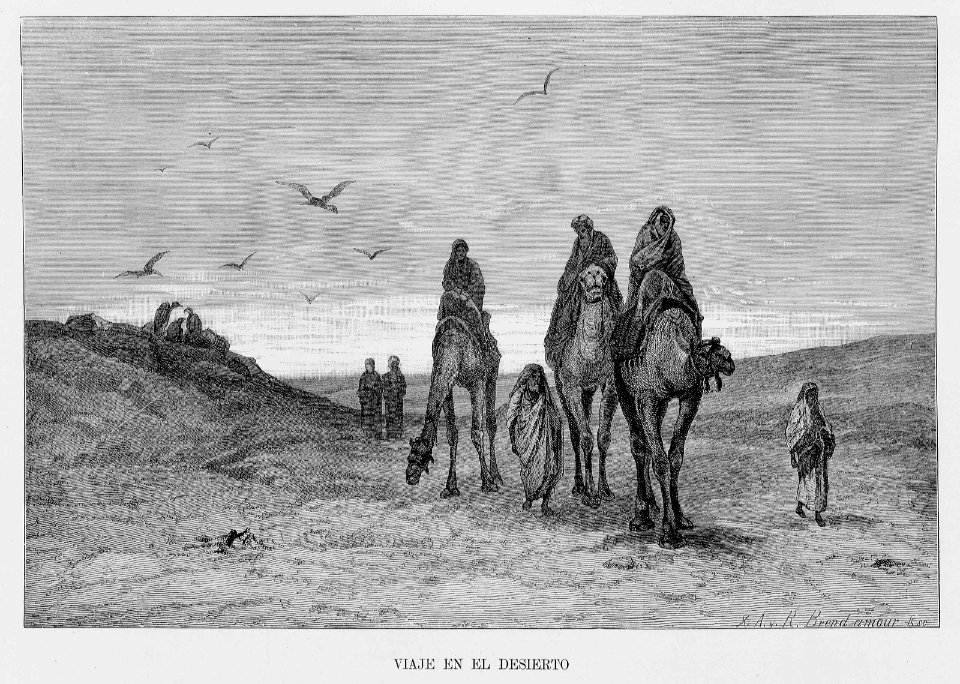 "Viaje en el desierto"