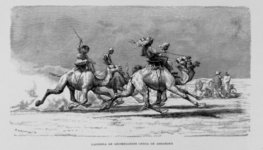"Carrera de dromedarios cerca de Abbasijeh"