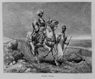"Árabe noble"