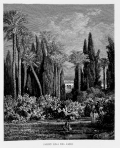 "Jardín Real del Cairo"