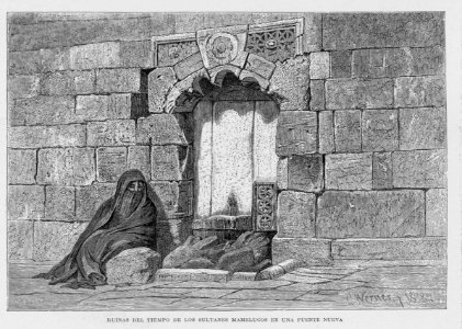 "Ruinas del tiempo de los sultanes mamelucos en una fuente nueva"