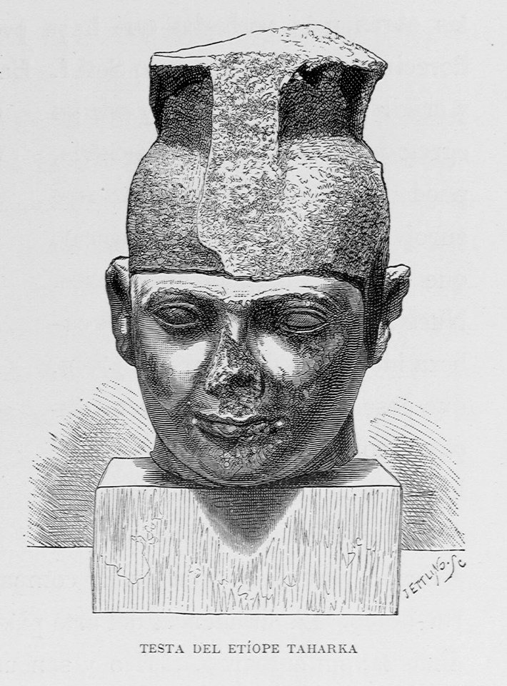 "Testa del etíope Taharka"