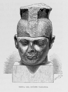 "Testa del etíope Taharka"