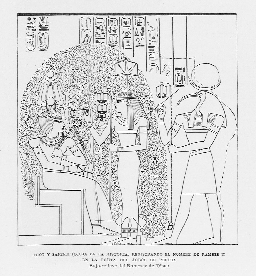 "Thot y Safekh (Diosa de la historia, registrando el nombre de Ramses II en la fruta del árbol de Persea. Bajo-relieve del Rameseo de Tébas"