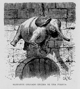 "Elefante colgado encima de una puerta"