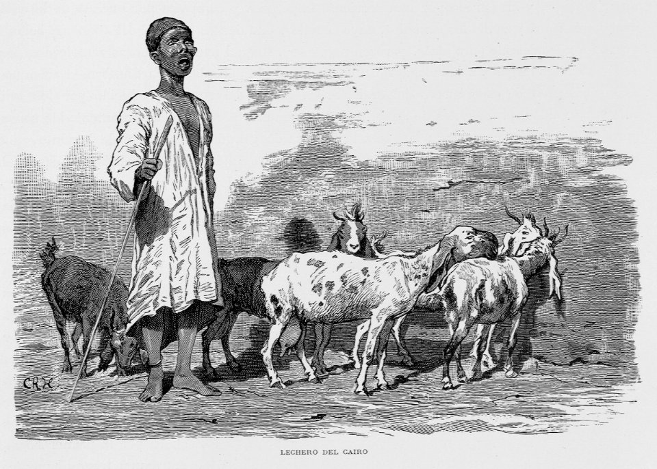"Lechero del Cairo"