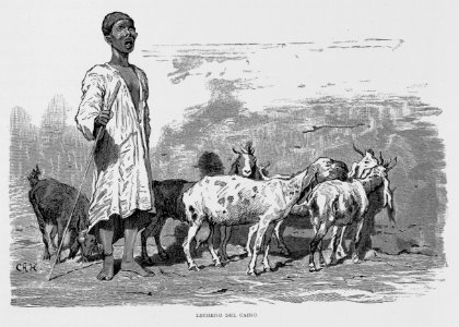 "Lechero del Cairo"