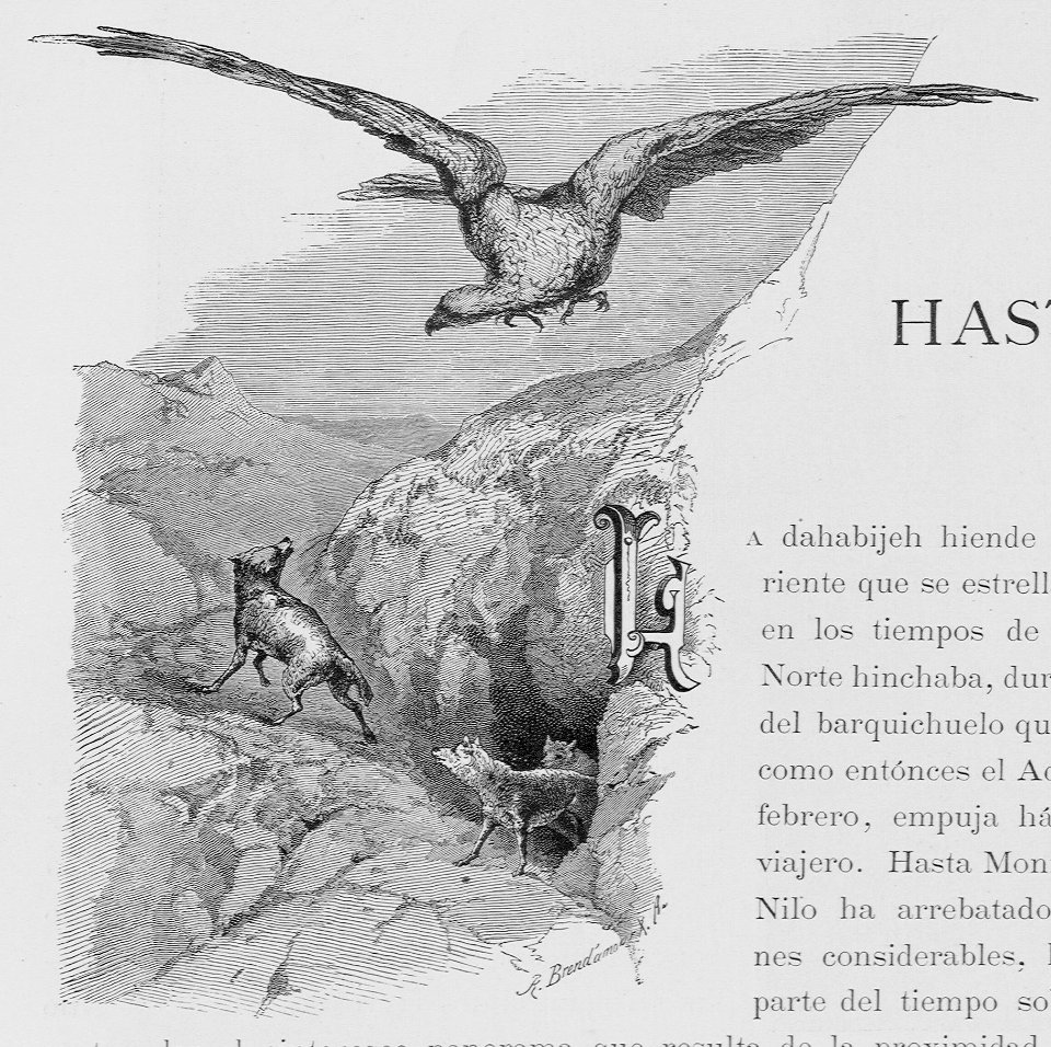 "Adorno. Inicial L"