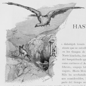 "Adorno. Inicial L"