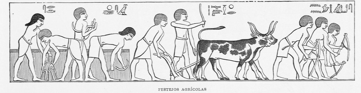 "Festejos agrícolas"
