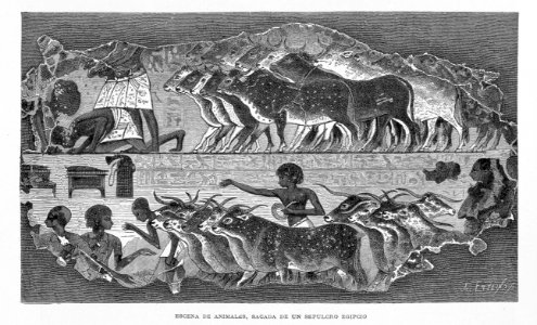 "Escena de animales, sacada de un sepulcro egipcio"