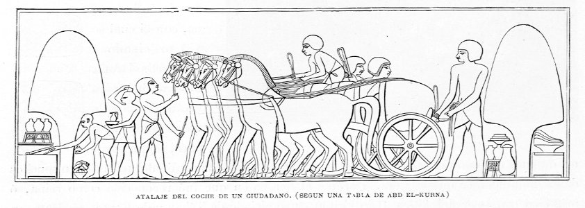 "Atalaje del coche de un ciudadano. (Según una tabla de Abd El-Kurna)".