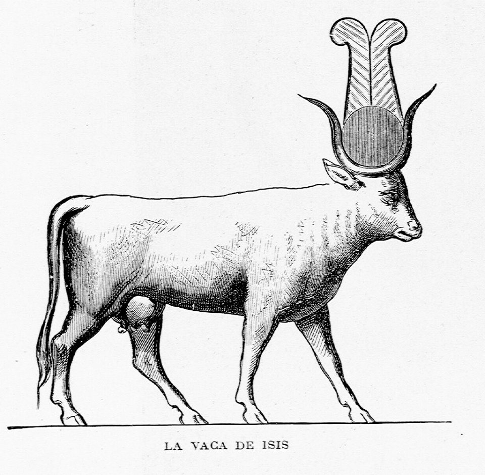 "La vaca de Isis"