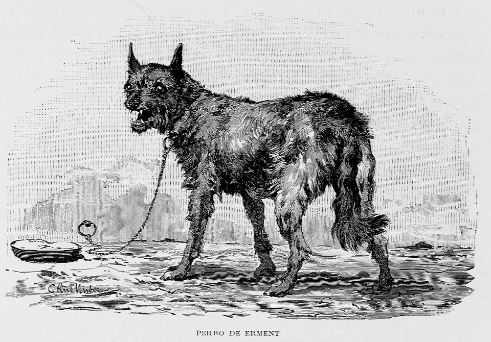 "Perro de erment"