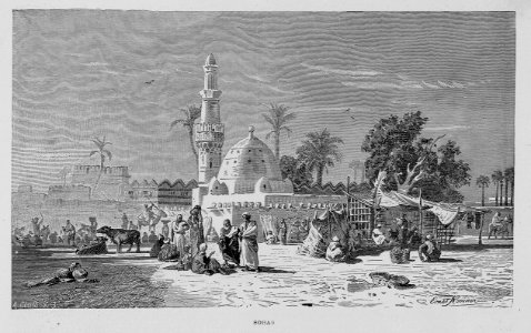 "Sohag"