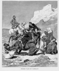 "Primer viaje en Camellos"