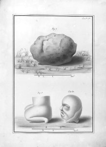 "Escultura precolombina"