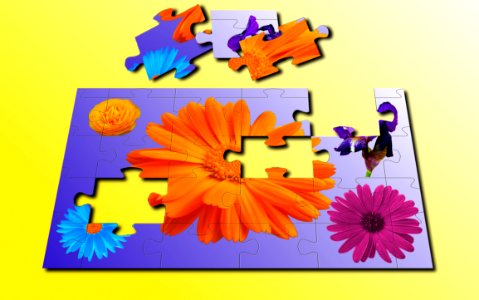 Flower fun activities puzzle. Free illustration for personal and commercial use.
