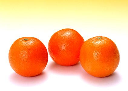 Citrus isolated on white background. Free illustration for personal and commercial use.