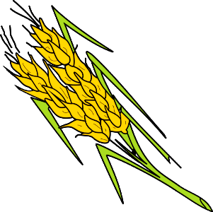 Wheat Elements. Free illustration for personal and commercial use.