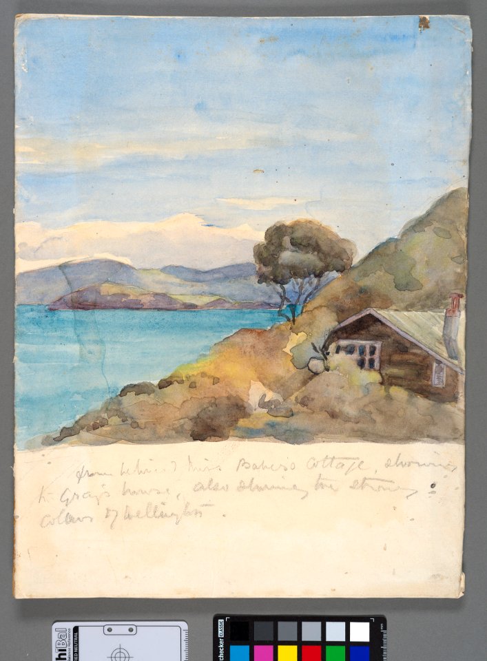 From behind Miss Baber's Cottage showing W Gray's house also showing the strong colours of Wellington. (48753418552)