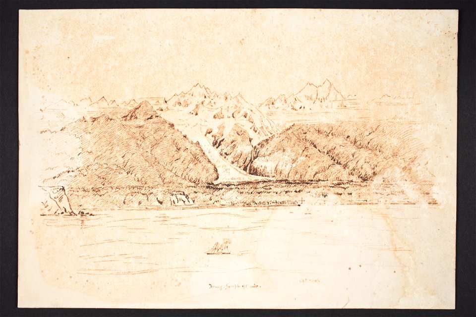 Franz Joseph Glacier (48753172346)
