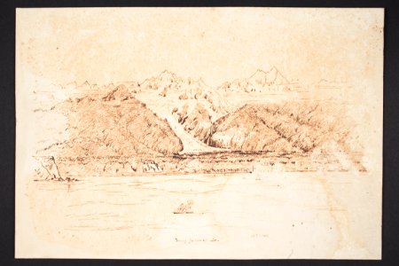 Franz Joseph Glacier (48753172346)