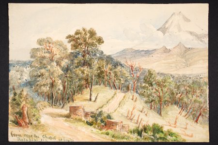 From near the chapel, Ratahihi, NZ. Dec 61 (48753327822)