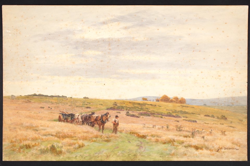 Harvesting, Sussex Downs (48752690883)