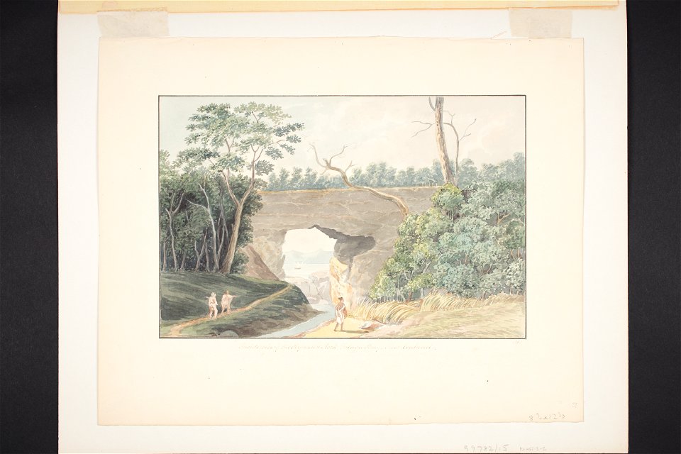 Inside view of the perforated rock, Tolaga Bay, New Zealand (48752141363)