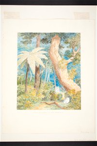 Scene in a forest of New Zealand (48752553861)