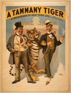 A Tammany tiger a melodrama of New York life by H. Grattan Donnelly. LCCN2014636206