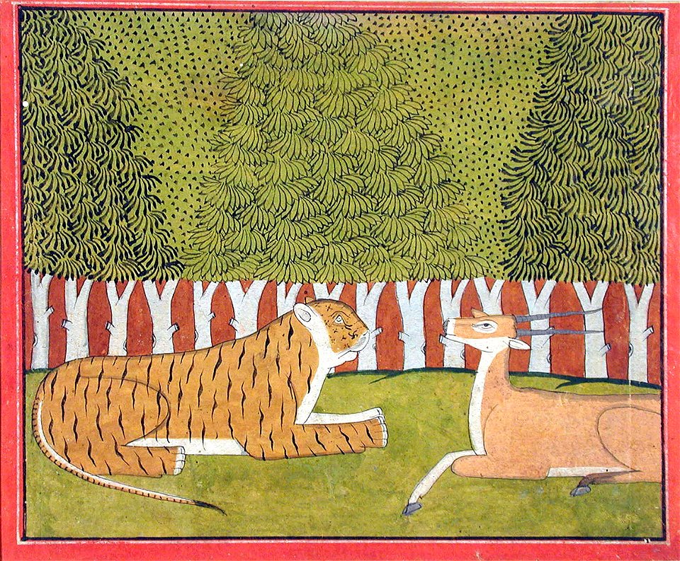 A tiger and black buck face each other in the jungle (6125125514)